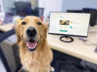 香港保险科技初创公司OneDegree推出首款宠物医疗产品 ,stylechina.com