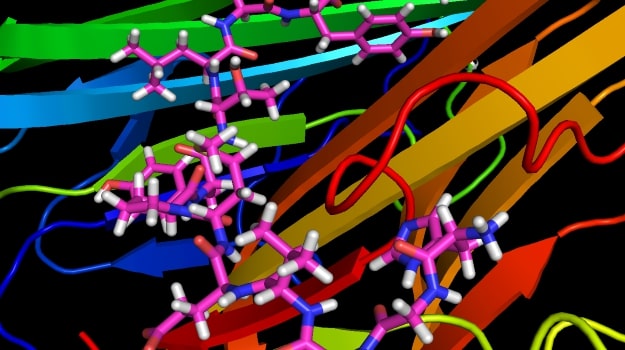 使用AI查找COVID-19的肽疗法 ,stylechina.com