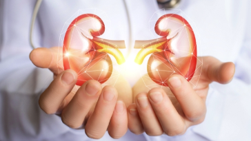 Akebia肾病药物的III期阳性数据激增 ,stylechina.com