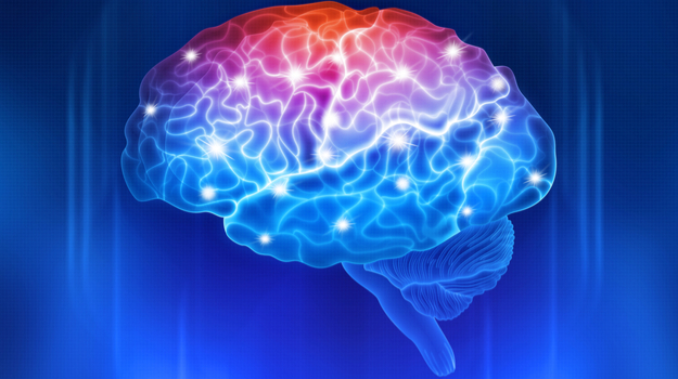 AMO药物可能会在某些遗传性脑疾病中恢复正常的学习功能 ,stylechina.com