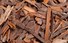 金银花目前正值产新，5月10日新货已加工出来，当天下午金银花价格随即出现大幅下滑，宁夏隆德：中药材种出“致富良方” ,stylechina.com