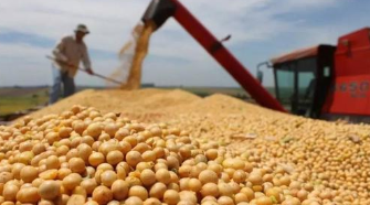 我国海关已全面认可巴西政府出具的官方电子检验检疫证书，大豆等农产品进口可顺利报关 ,stylechina.com