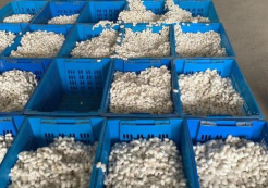 广西宜州第二批春茧继续上市 ,stylechina.com