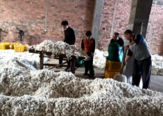 宜州怀远、德胜等大部分乡镇 第二批春茧上市 ,stylechina.com