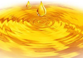 5月14日进口阿根廷豆油及加拿大菜籽油C&F报价，USDA 5月7日当周美豆油出口销售报告，USDA 5月7日当周美豆粕销售报告 ,stylechina.com