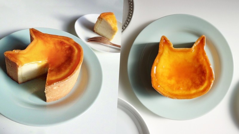 猫奴必吃！日本推「猫咪起司蛋糕」是猫脸吐司的姐妹品牌，浓郁口感疗愈爆表 ,stylechina.com