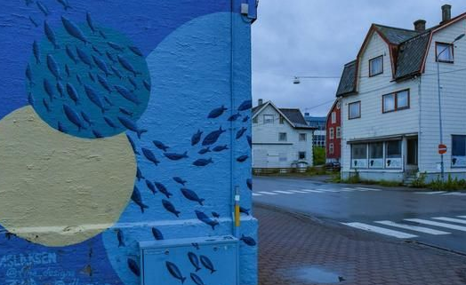 挪威袖珍小城当地人为了提高城市知名度，用5万升涂料刷成蓝色 ,stylechina.com