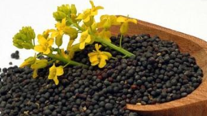 市场多空博弈加剧 菜粕继续区间运行：整体供应仍然是持平或略增的预期 ,stylechina.com