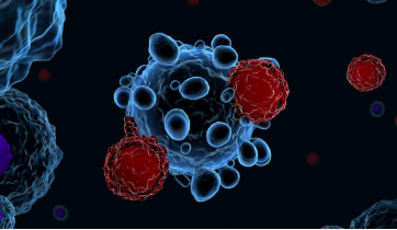 CAR-T细胞可以用于治疗糖尿病和纤维化等疾病吗？ 中网时尚,stylechina.com