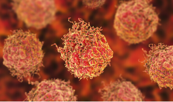 Genentech的Ipatasertib在前列腺癌试验中的结果好坏参半 中网时尚,stylechina.com