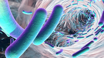 Finch的活微生物学药物在C. Diff治疗中显示出希望 中网时尚,stylechina.com