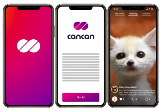 Dfinity展示了其TikTok克隆，向外部开发者开放了其“互联网计算机” 中网时尚,stylechina.com