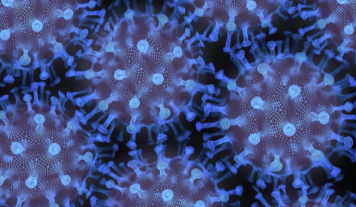 一种“泛病毒”疫苗，旨在保护老年人免受已知和未知的病毒的侵害 中网时尚,stylechina.com