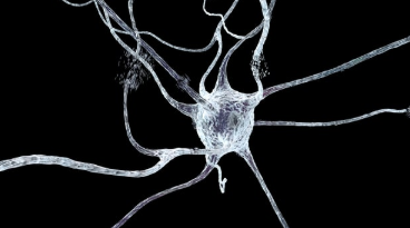 Tranquis推出3000万美元的神经退行性疾病新方法 中网时尚,stylechina.com