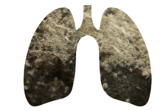 新方法可能会显着改善用于移植的受损肺 中网时尚,stylechina.com