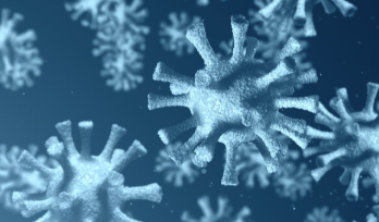 真正针对COVID-19的抗体能持续多久？ 中网时尚,stylechina.com