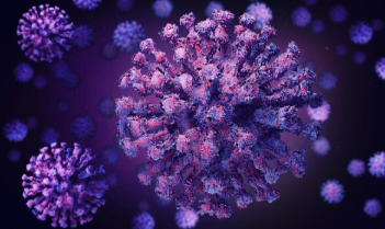 再生元的抗体鸡尾酒可预防和治疗实验动物中的COVID-19 中网时尚,stylechina.com