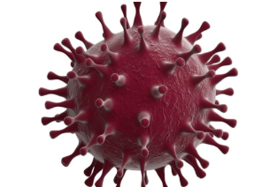 正在开发两项基于大众市场的纸质COVID-19诊断测试 中网时尚,stylechina.com