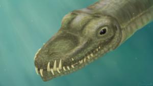 科学家揭开了现实生活中的海怪之谜 中网时尚,stylechina.com