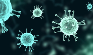 Octapharma使用IVIG作为COVID-19的潜在治疗药物 中网时尚,stylechina.com