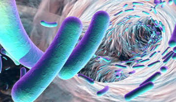 Seres报告基于微生物组的C. Diff治疗的阳性数据 中网时尚,stylechina.com