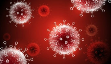 GigaGen发布有关新的重组超免疫药物类别的数据，作为COVID-19治疗 中网时尚,stylechina.com