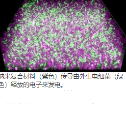 在导电DNA纳米复合水凝胶中培养外生细菌可产生可编程的生物混合材料系统 中网时尚,stylechina.com