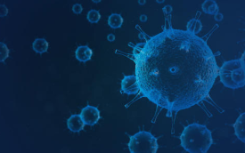 冠状病毒从蝙蝠跳向人类的缺失环节可能是穿山甲，而不是蛇 中网时尚,stylechina.com