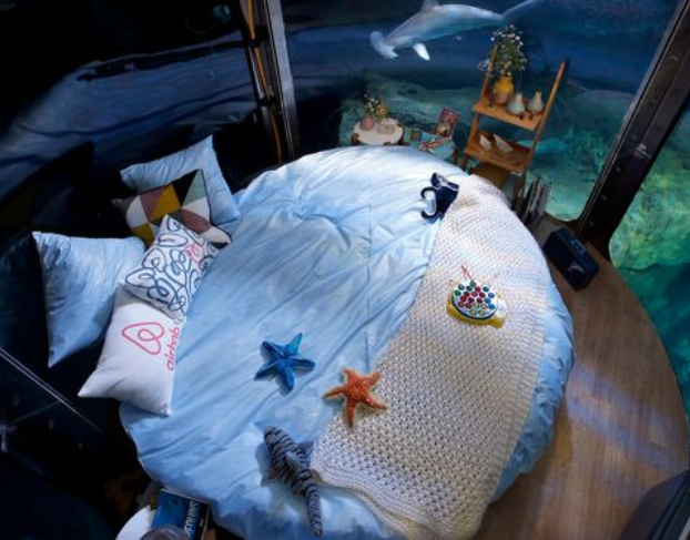 你会和这些鱼一起睡吗？竞赛在水下卧室与鲨鱼共度夜晚 中网时尚,stylechina.com