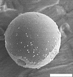 二维纳米材料包裹的Janus微电机，带有内置多引擎的气泡，磁力和光驱动推进器  中网时尚,stylechina.com