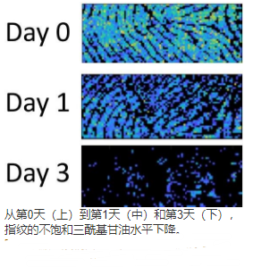 通过三酰基甘油的分析臭氧分析化学质谱成像确定指纹年龄 中网时尚,stylechina.com