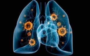 冠状病毒研究中的化学：美国化学学会的免费读物集 中网时尚,stylechina.com