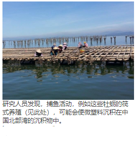 渔业活动和深层沉积物的隐藏造成的低估的微塑料污染 中网时尚,stylechina.com