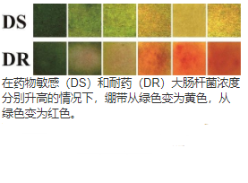 用于现场护理和细菌感染的比色创可贴  中网时尚,stylechina.com