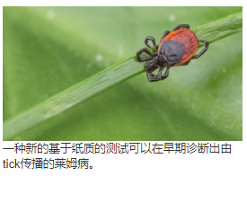 采用多重纸质免疫分析和机器学习的早期莱姆病的即时护理血清诊断测试 中网时尚,stylechina.com