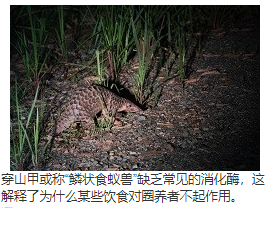 显示其对饮食专业化的适应性，在某些文化中因其肉和鳞片而备受推崇 中网时尚,stylechina.com