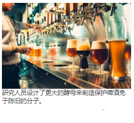 更大的啤酒中NADH的利用率增加了啤酒的风味稳定性 中网时尚,stylechina.com