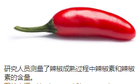 果实发育三个辣椒基因型中辣椒素和辣椒素酯类物质积累模式的评估（辣椒属）携带Pun1和中pAMT等位基因相关的辛辣  中网时尚,stylechina.com