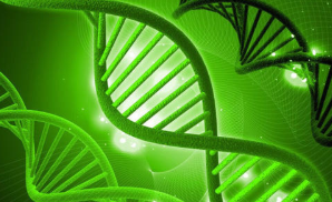 一项国际研究现已表明，计算机如何学习如何区分同一物种的个体鸟类 中网时尚,stylechina.com