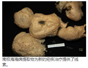 Friomaramide，一种来自南极海绵的高度修饰的线性六肽，可抑制恶性疟原虫肝脏的发育 中网时尚,stylechina.com