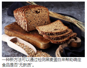 黑麦的麦田守望者通过LC-MS MS检测含有麸质的黑麦  中网时尚,stylechina.com