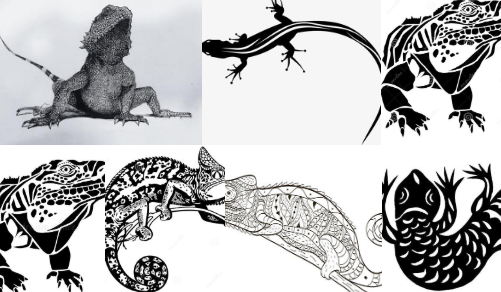 黑白特古蜥蜴在南卡罗来纳州首次出现 中网时尚,stylechina.com