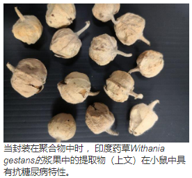 使用基于多糖的肠溶纳米颗粒，从Withania gestans提取抗小肠提取物的小肠特异性递送 中网时尚,stylechina.com