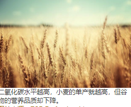 CO 2浓度升高对小麦籽粒发育和组成的代谢影响 中网时尚,stylechina.com