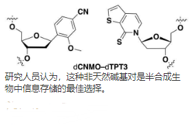 在半合成生物中复制，转录和翻译的优化 中网时尚,stylechina.com