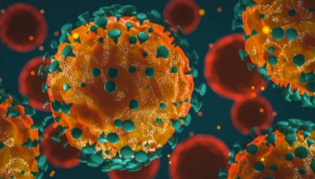 研究综述:COVID-19鼻疫苗等 中网时尚,stylechina.com