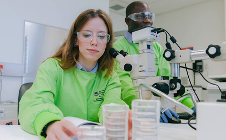 昆士兰大学（UQ）的研究显示，在大虾、牡蛎和螃蟹等受欢迎的海鲜样本中发现了塑料污染的成分 中网时尚,stylechina.com