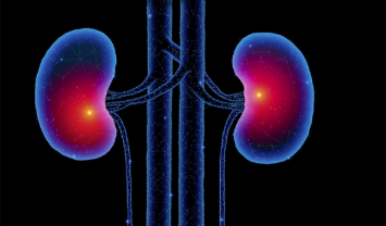 阿斯利康的Farxiga在三期慢性肾脏病试验中取得成功 中网时尚,stylechina.com