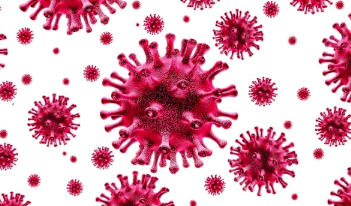 Vir Bio和GSK参加COVID-19单克隆抗体疗法的竞赛 中网时尚,stylechina.com