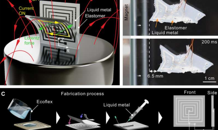 设计了一个基于SEMA的柔软微型鲨鱼和一个带有独立控制花瓣的多层螺旋花 中网时尚,stylechina.com
